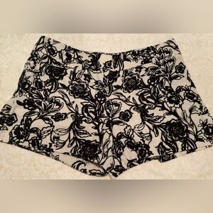 Women’s Loft Floral White & Black Shorts Sz 10